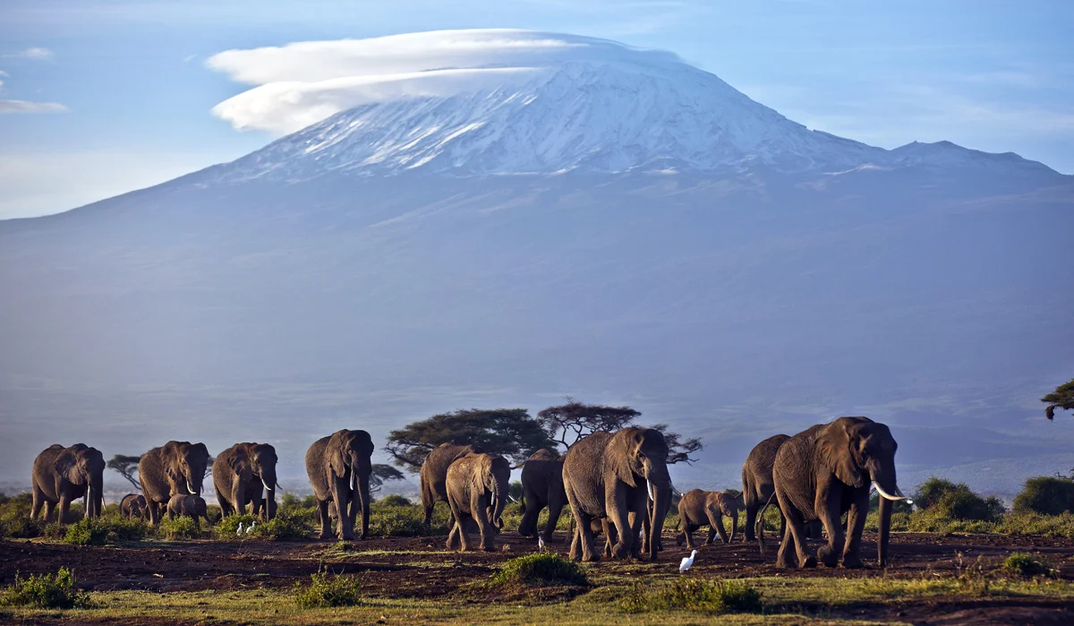 África